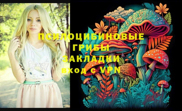 ПСИЛОЦИБИНОВЫЕ ГРИБЫ Приозерск