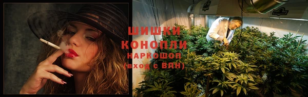 ГАЛЛЮЦИНОГЕННЫЕ ГРИБЫ Протвино