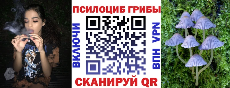Купить  Сураж  Галлюциногенные грибы мухоморы 