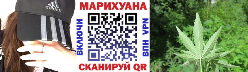Бошки марихуана сатива Сураж